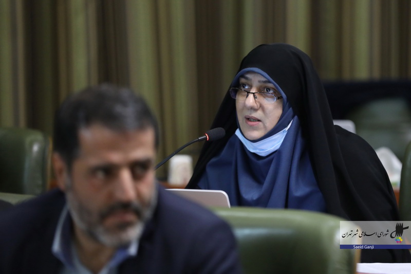 معدنی پور مطرح کرد؛ 12-132 پاسخ به اعتراض هيات تطبيق به مصوبه «طرح جامع توانمندسازي زنان سرپرست خانواده شهر تهران»